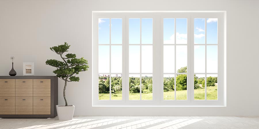 Picture Windows